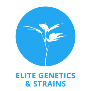 Elite Genetics